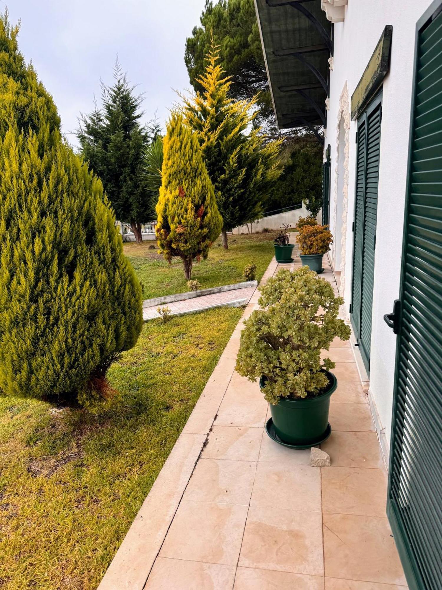 Leiria Side Hotel Bagian luar foto